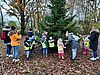 Leherheider Kinder verzieren den Weihnachtsbaum mit selbstgebasteltem Schmuck.
